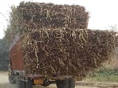 overloading