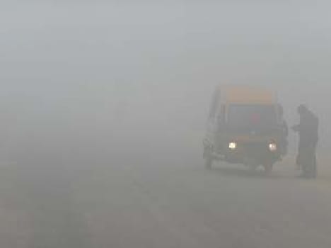 Wrath of fog and cold wave