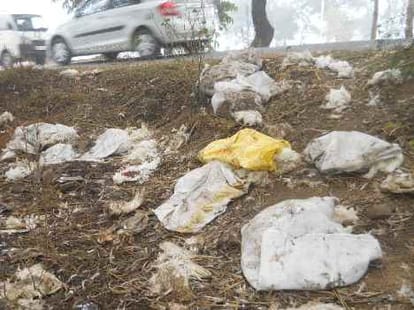  Bird flu on Sukhna Lake, 343 Hens Dead