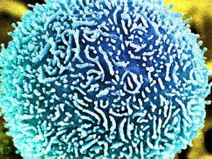 CSIR develop a technique by tea leaves that will prevent Cancer.