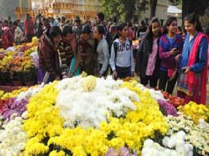 You will be shocked to hear the Delhi assembly cost of flowers