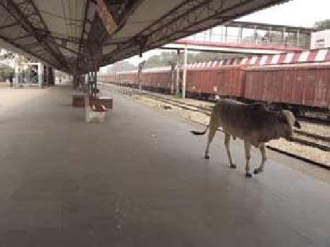 Silence that lies at the railway station