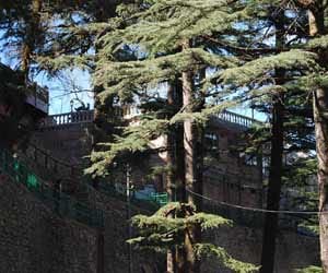 sachin tendulkar mussoorie home dispute