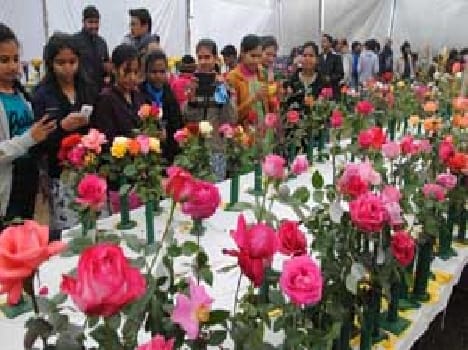 central Flower House Bhu Wone In Flower Exhivition