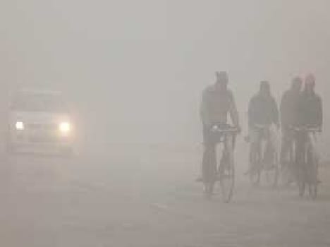 two died due to cold 