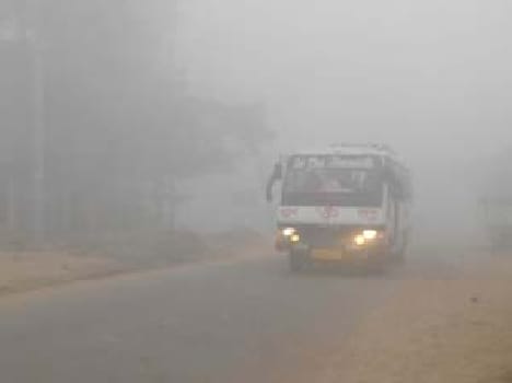 Severe cold claimed the lives of elderly