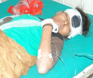 tree fall on the family, child died.