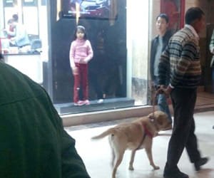 hisg security in gurgaon before 31st december
