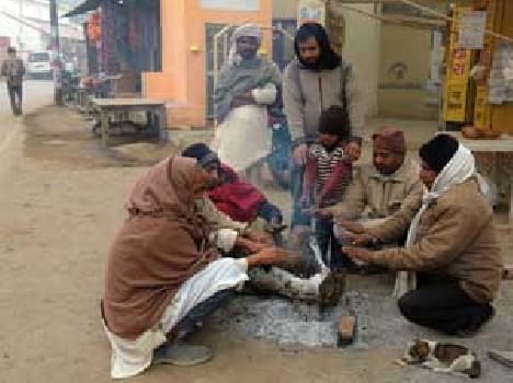 Three killed in cold