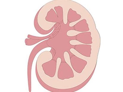 symptoms of kidney disease