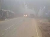 weather