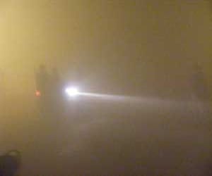 fog bacteria are dangerous for health.