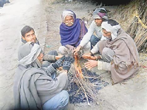 chilled winter hit life, alongwith innocent six person killed