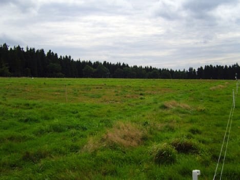 450 acres lands in just 31 rupees, know how?