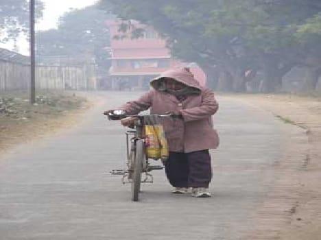 Three deaths due to cold