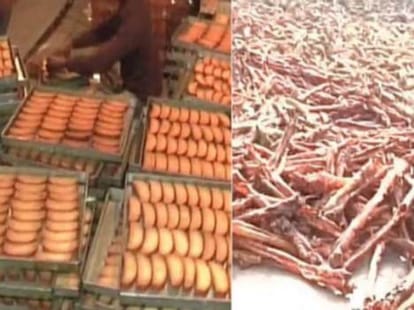 Animal bones found in a Moradabad Bakery; License suspended
