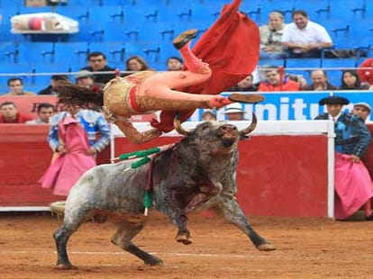 female bullfighter being gored by the bull in one go