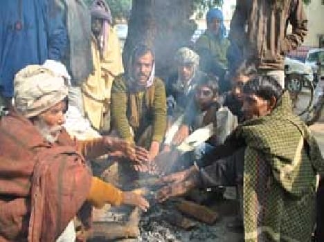 Life suffering from cold