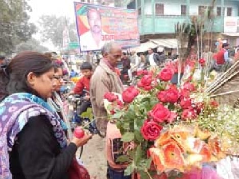 people celebrate new year