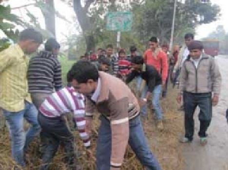 Cleaning bushes students