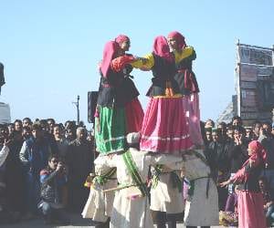 New year 2015 celebration in shimla.