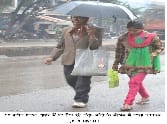 Drizzle with the torpid by cold wave