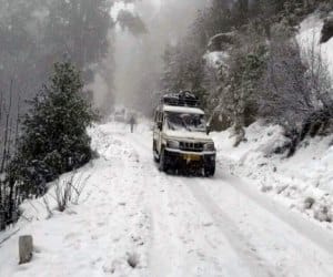 Three found dead in himachal shimla due to cold .