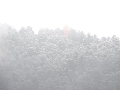 snowfall in shimla.