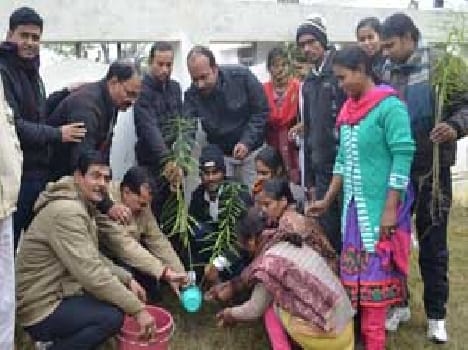 Purvanchal University students and plantation