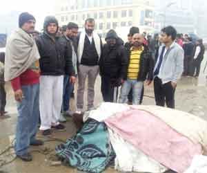 Animals recovered from Scorpio, the accused fled.