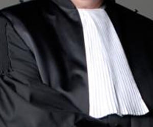 student seeks help from high court for street dog