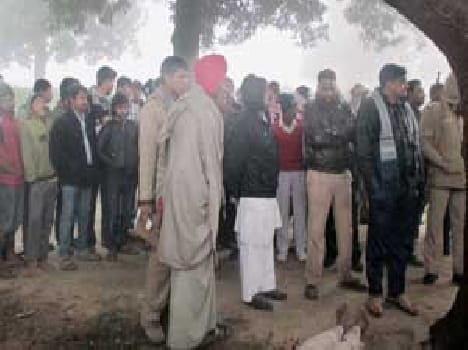 Bodies found hanging from tree