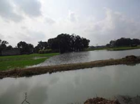Minor cuts , hundreds of acres of crops submerged