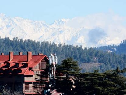 Three found dead in himachal shimla due to cold .
