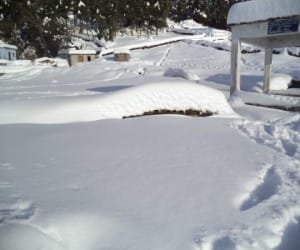 J&K reels under cold wave, Kargil coldest
