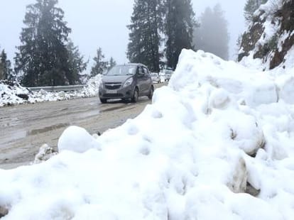 Three found dead in himachal shimla due to cold .
