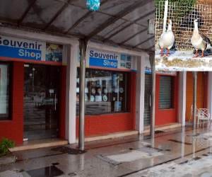  Bird Flu on Sukhna Lake, Problem for Shopkeepers