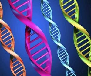 DNA preserved
