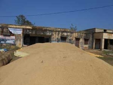 Quintals of paddy purchase centers hundreds dewy