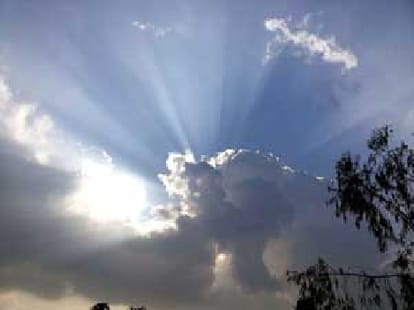 dampness is harmful for health