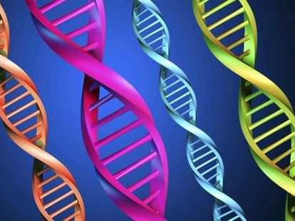 DNA data will identify loved ones