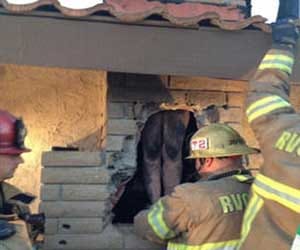 woman got stuck inside chimney all nude in a bid to meet him