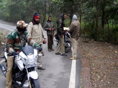 elephant killed the tourist in rishikesh.