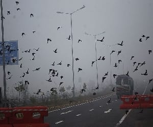 bank of yamuna will be developed as a park