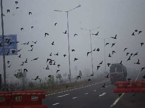 mercury dipped to around 5 degree in mathura 