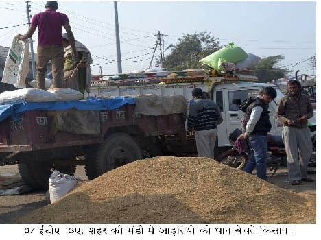 Coarse rice production in the district is decreasing