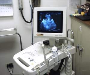 radiologist posts are vacant in goverment hospital