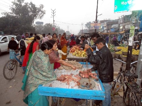  Increase in prices of fruit