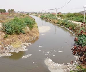 dirty water in ganga