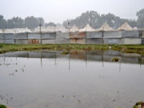 magh mela 1